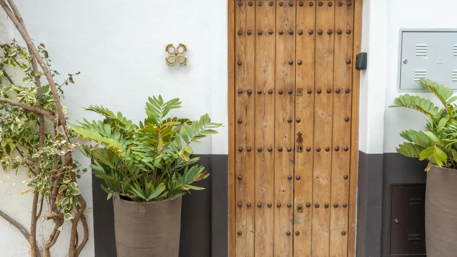Hotel Mondejar 14 Coliving Centro Estepona 0*,